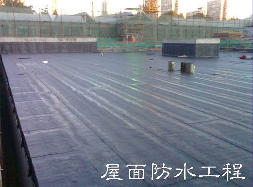 從根本上解決和防治建筑屋面滲漏問題，專家給出的方案是從防水系統設計、施工過程、材料選材及質量監管和后期的管理維護等方面著手，嚴格規范